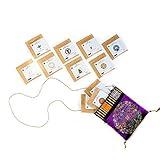 Loose Leaf Tea Sampler Set Travel Pouch, Loose Leaf Tea Set, Nepali Tea Leaves Gift Set, Loose Tea Sampler Tea Kit from the Himalayas, 11 ct. 4.5 oz. (Approx. 25 to 30 Cups of Tea) Purple - Nepal Tea