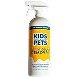 KIDS 'N' PETS Instant All-Purpose Stain & Odor Remover Permanently Eliminates Dog Pee, Cat Urine, Other Smells, Spots from Home Carpet, Couch, Furniture, Mattress, Fabric. Non-Toxic, Child Safe - 27oz