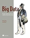 Big Data: Principles and best practices of scalable realtime data systems