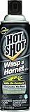 Hot Shot Wasp & Hornet Killer Spray, For Insects Eliminates The Nest, Sprays Up To 27 Feet, 14 fl Ounce