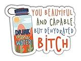 3 Pcs - Drink Some Water You Beautiful and Capable But Dehydrated Bitch Sticker Drink Some Water Sticker for Waterbottles Laptops Notebooks Cell Phones Bumpers Windows Locker A5