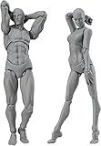 AXITWXIT Manikin Figure Drawing Supplies Drawing Tools, Mannequin for Artists Drawing Figures Model for Sketching, Painting, Artists Male+Female Set(Grey)