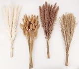 Dried Pampas Grass Decor, 100 Stems Pampas Grass Contains Bunny Tails Dried Flowers, Reed Grass Bouquet for Wedding Boho Flowers Home Table Decor, Rustic Farmhouse Party (17", White and Brown)