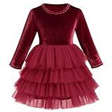 Red Velvet Tulle Dress for Girls Christmas Holiday Dresses Toddler Baby Girls Long Sleeve Velvet Princess Dresses Fall Winter Velvet Ruffle Tutu Dress Wine Red-Tulle 6-12 Months