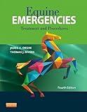 Equine Emergencies: Treatment and Procedures