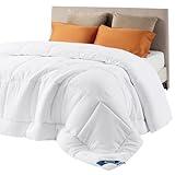 Bedsure Comforter Duvet Insert - Quilted Comforters Queen Size, All Season Duvet, Down Alternative Bedding, with 8 Tabs, Gifts for Women/Men, White, Queen 88 x 88 Inches