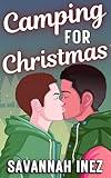 Camping for Christmas: a Sexy Bisexual M/M Romance