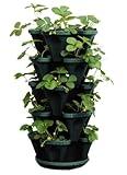 Mr. Stacky 1305-HG 5-Tier Stackable Strawberry, Herb, Flower, & Vegetable Planter - Vertical Gardening Indoor / Outdoor Stacking Garden Pots Hunter Green, 22.5 Quarts
