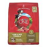 Purina ONE Dry Dog Food Lamb and Rice Formula - 31.1 lb. Bag