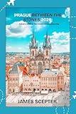 PRAGUE BETWEEN THE STONES: A Local's Guide to The Czech's Adventurous City