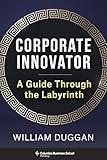 Corporate Innovator: A Guide Through the Labyrinth