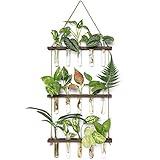 Mkono Plant Propagation Tubes, 3 Tiered Wall Hanging Terrarium with Wooden Stand Mini Test Tube Flower Vase Glass Planter Stations for Hydroponic Cutting Home Garden Office Decor Plant Lover Gift