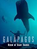 Galapagos: Realm of Giant Sharks