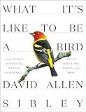 What It's Like to Be a Bird: From Flying to Nesting, Eating to Singing--What Birds Are Doing, and Why (Sibley Guides)