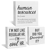 Human Resources Office Decor, 3 Pcs Funny HR Gifts Wood Box Signs But Did You Document It Humor Quotes Office Supplies HR Signs, Farmhouse Rustic Desk Decor for Table Shelf Wall Cubicle Accessories