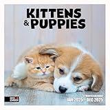 RED EMBER Kittens & Puppies 2025 Wall Calendar 12 Month | 12" x 24" Open | Thick & Sturdy Paper | Giftable | Calendar 2025