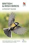 British and Irish Birds: A Pocket Guide (WILDGuides)