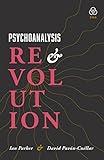 Psychoanalysis and Revolution: Critical Psychology for Liberation Movements