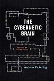 The Cybernetic Brain: Sketches of Another Future