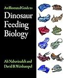 An Illustrated Guide to Dinosaur Feeding Biology