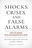 Shocks, Crises, and False Alarms: How to Assess True Macroeconomic Risk