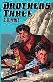 Brothers Three: A Western Adventure for Teens