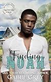Finding Noah: Foggy Basin Season Two