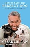 How to Raise the Perfect Dog: Through Puppyhood and Beyond