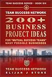 200+ Business Project Ideas - For 'Mutual Success Teams: Many Possible Businesses ("Team Success" Series Book 6)