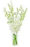 KaBloom PRIME NEXT DAY DELIVERY - Fall Collection - Exotic Perla Orchid Bouquet Of 10 Fresh White Orchids With Vase.Gift for Birthday,Thank You, Valentine, Mother’s Day Fresh Flowers