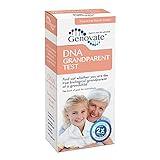Genovate DNA Grandparent Test - Results in 1-2 Days - Home DNA Test Kit for Grandparents and Grandchild - All Fees Included