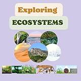 Exploring Ecosystems: for kids 8 to 12 years Producers Herbivores carnivores Decomposers Types of Ecosystems Ocean Food Chain food chain food web