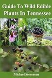 Guide To Wild Edible Plants In Tennessee: Edible Plants You Can Eat With Lots Of Benefits In Tennessee