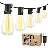 Larkvue 25FT Outdoor String Lights, Patio Lights with 10+1 LED Dimmable Waterproof Shatterproof ST38 Retro Edison 2700K Bulbs for Balcony Yard, Black