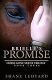 Brielle's Promise: Horse Gone Silent Trilogy Book 3