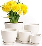 Utopia Home - Plant Pots Indoor with Drainage - 7/6.6/6/5.3/4.8 Inches Flower Pots for Indoor Planter - 5 Pack Plastic Planters - Ideal for Stocking Stuffers or Home, Office Room Plant Decor - White