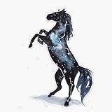 MAGNET Galaxy Horse Magnetic Vinyl Sticker Decal Magnet 5"
