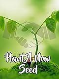 Plant A New Seed