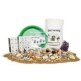 Kolt Mining Activity Dig Kit – Mother Lode Includes Fossils, Arrowheads, Shark Teeth, Excavate Real Crystals, Rocks, Minerals and Gemstones - STEM/STEAM – Ideal for Geology Enthusiasts