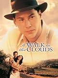 A Walk in the Clouds