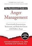 The Practitioner's Guide to Anger Management: Customizable Interventions, Treatments, and Tools for Clients with Problem Anger