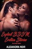 Explicit BDSM Erotica Stories: The Cougar Within