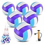 ELKCIP 6 Pack Volleyballs Official Size 5, Soft Bulk Recreational Volley Balls with Pump and Net Bag for Indoor Outdoor Beach Pool Water Sand Game Training Match for Beginner Teenager, Purple