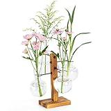 E-ROOM TREND Plant Propagation Station, Plant Terrarium with Wood Stand for Hydroponics Plants, Home Office Garden Decor Planter, Plant Lover Gifts - 4 Bulb Glass Vases
