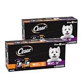 Cesar Filets in Gravy Wet Dog Food Filet Mignon Flavor and Rotisserie Chicken Flavor Variety Pack, 1.76 oz. Mini-Pouches (20 Count, Pack of 2)