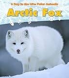 Arctic Fox (A Day in the Life: Polar Animals: Heinemann Read and Learn: Level K)