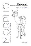 Morpho: Mammals: Elements of Comparative Morphology (Morpho: Anatomy for Artists Book 9)