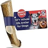 Devil Dog Pet Co. Elk Antlers for Dogs, Beast 10"+, 1 Pack, Grade A Long Lasting Chew for Aggressive Chewers, Premium USA Naturally Shed Antler – Healthy, No Odor, Durable Dog Chew