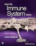 How the Immune System Works