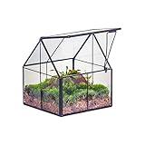 NCYP Mini Glass Geometric Terrarium with Lid - 4.25" x 4.25" x 4.92" Small House Shape Close Planter Pot for Succulents Plant - Handmade, Home Garden Office Tabletop Decor, Black (Terrarium Only)